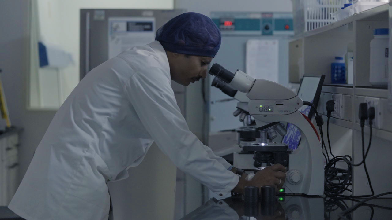 Exploring Health Benefits