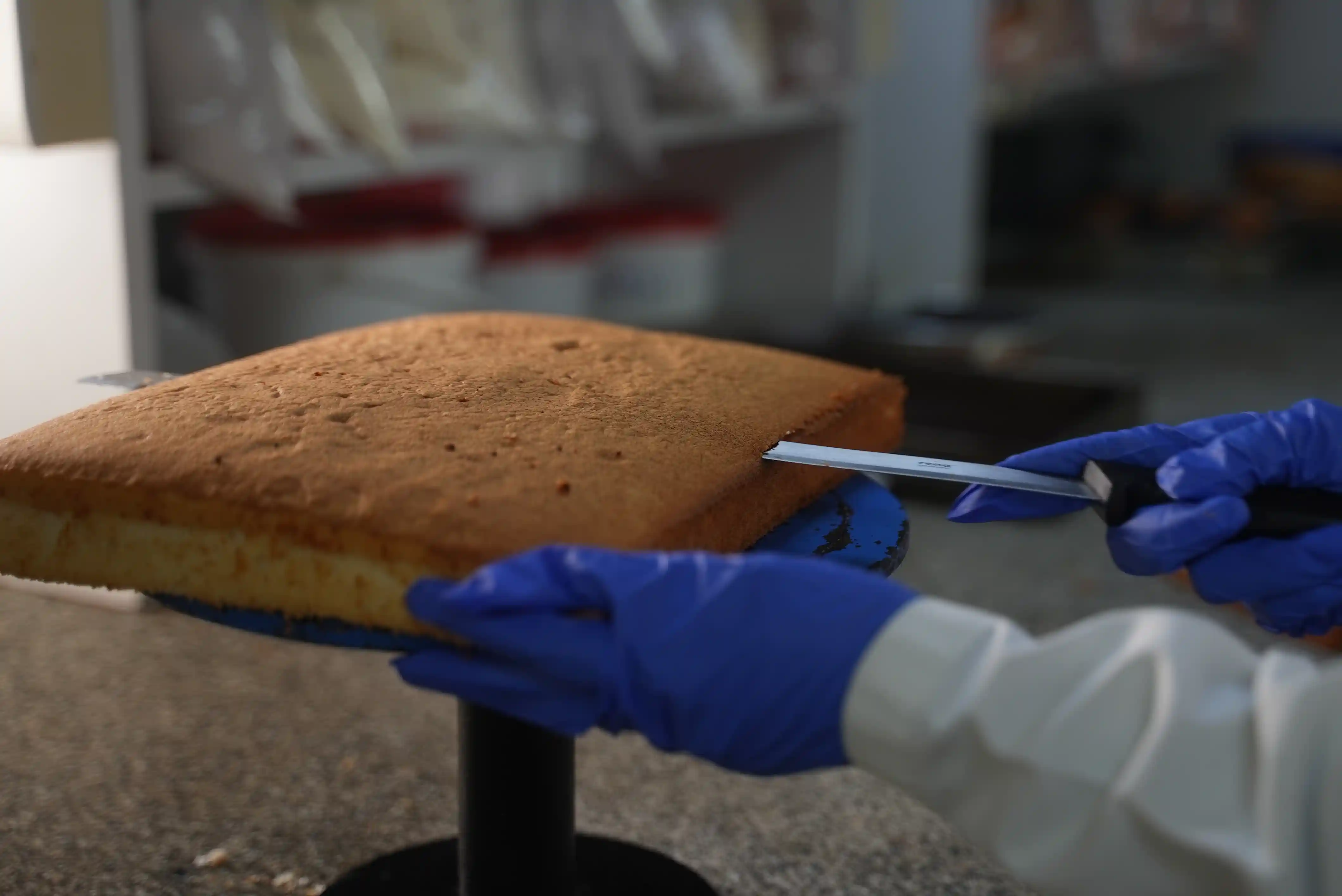 Redefining Bakery Artistry